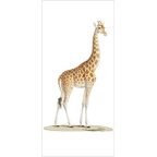Marque Page Aimanté Girafe Collection Inspiration Vélin