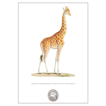 Carnet Girafe Collection Inspiration Vélin