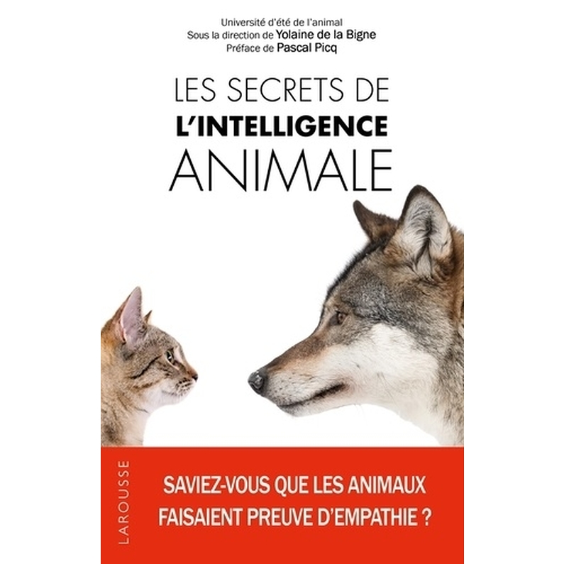 Les Secrets De L Intelligence Animale