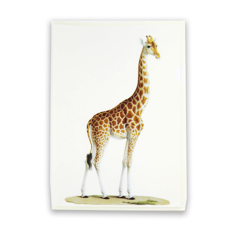 Pochette transparente A4 Girafe Collection Inspiration Vélin