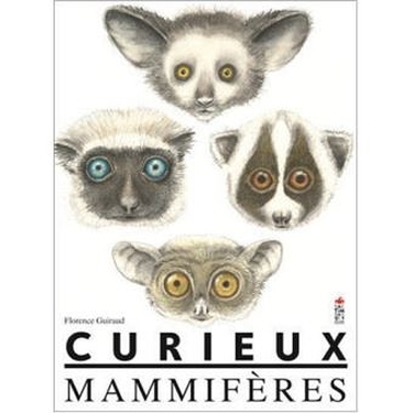 Curieux Mammiferes