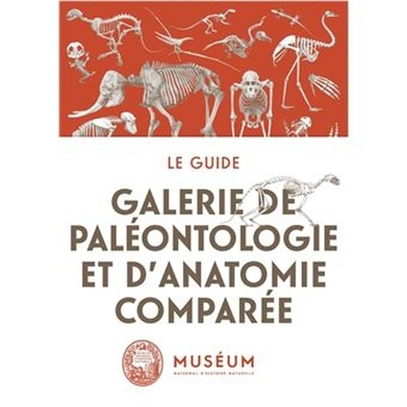La galerie de paléontologie et d'anatomie comparée