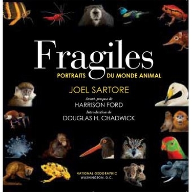 Fragiles ; portraits du monde animal